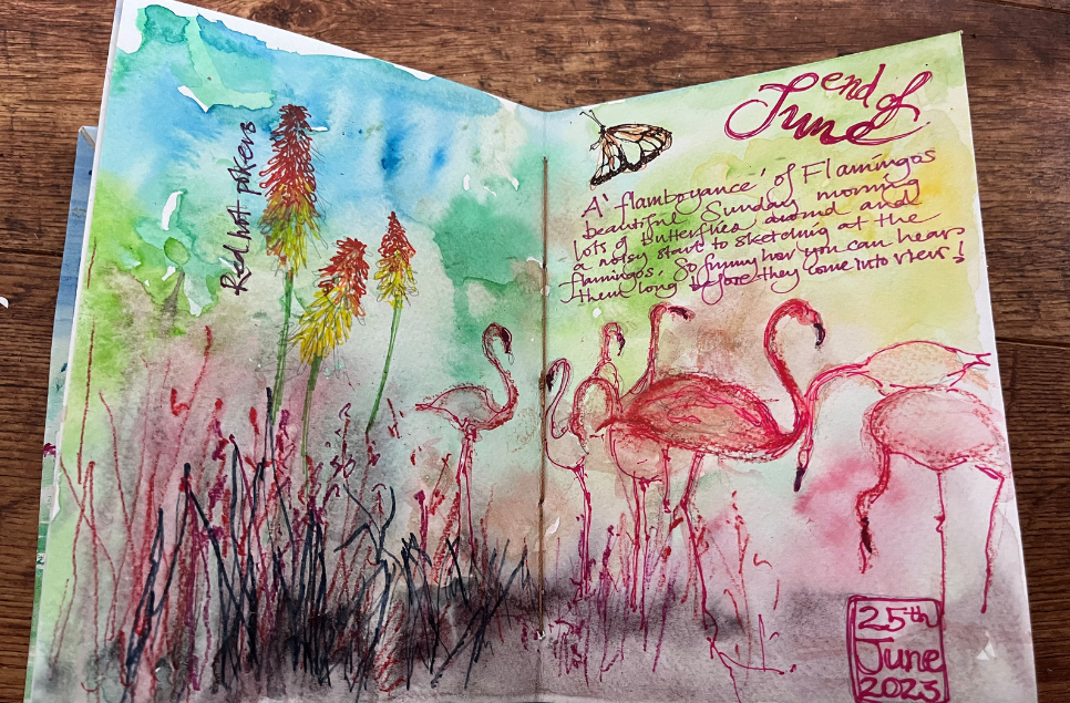 View: Nature Journalling Group